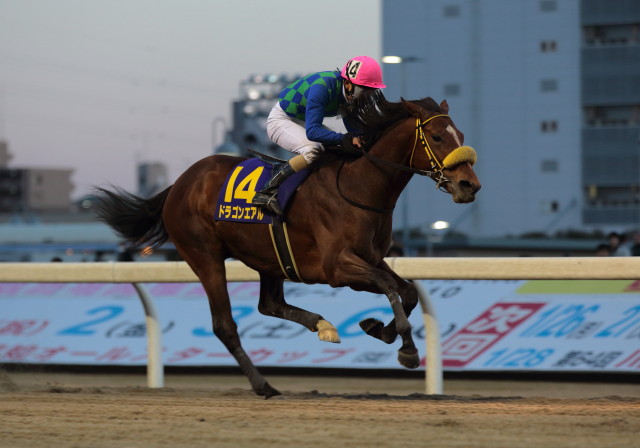 �h���S���G�A��