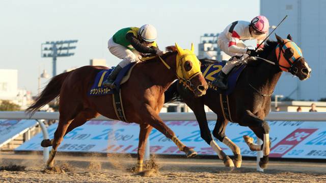 �z�b�R�[�^���}�G